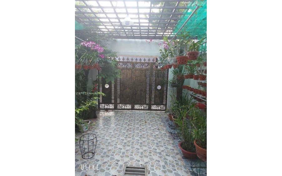 Nhà 1/ nở hậu Thạnh Xuân 52 Q12, 135m2, 6x23m, chỉ 5 tỷ chút